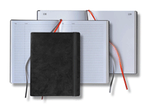 Small Numbered Daily Journals